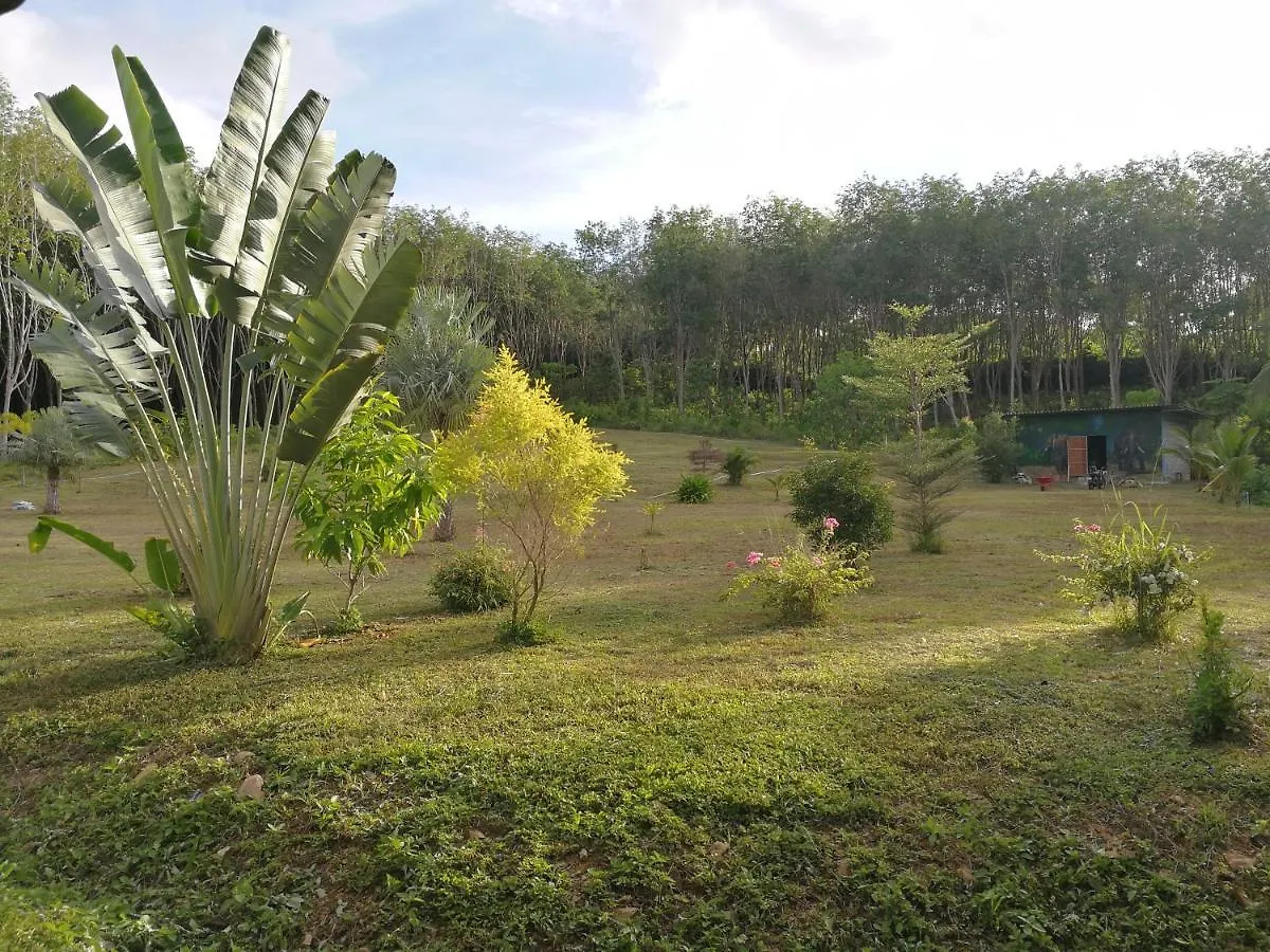 公寓 Ko LantaPalm Garden House公寓 泰国