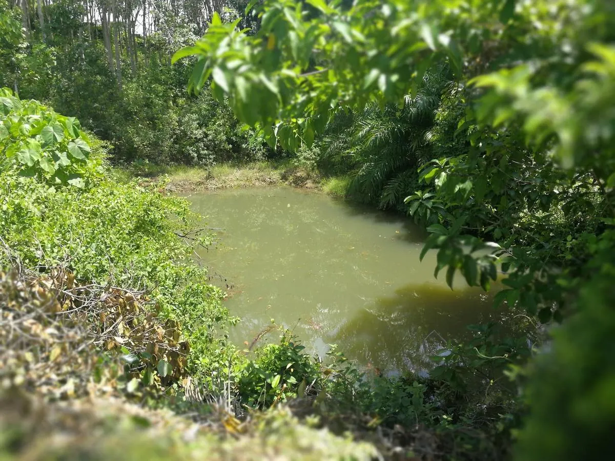 Ko LantaPalm Garden House公寓 0*, Ko Lanta