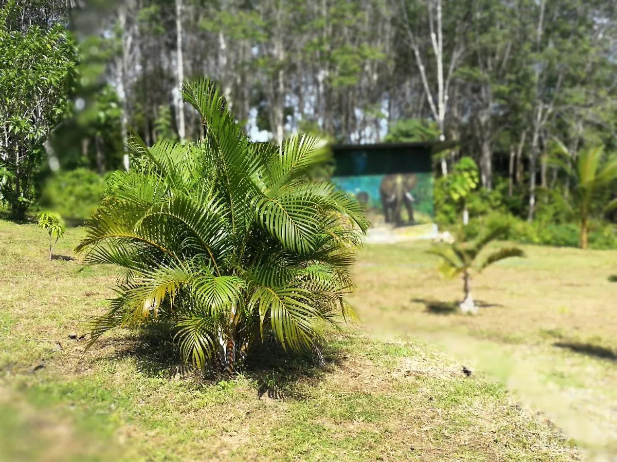 Ko LantaPalm Garden House公寓