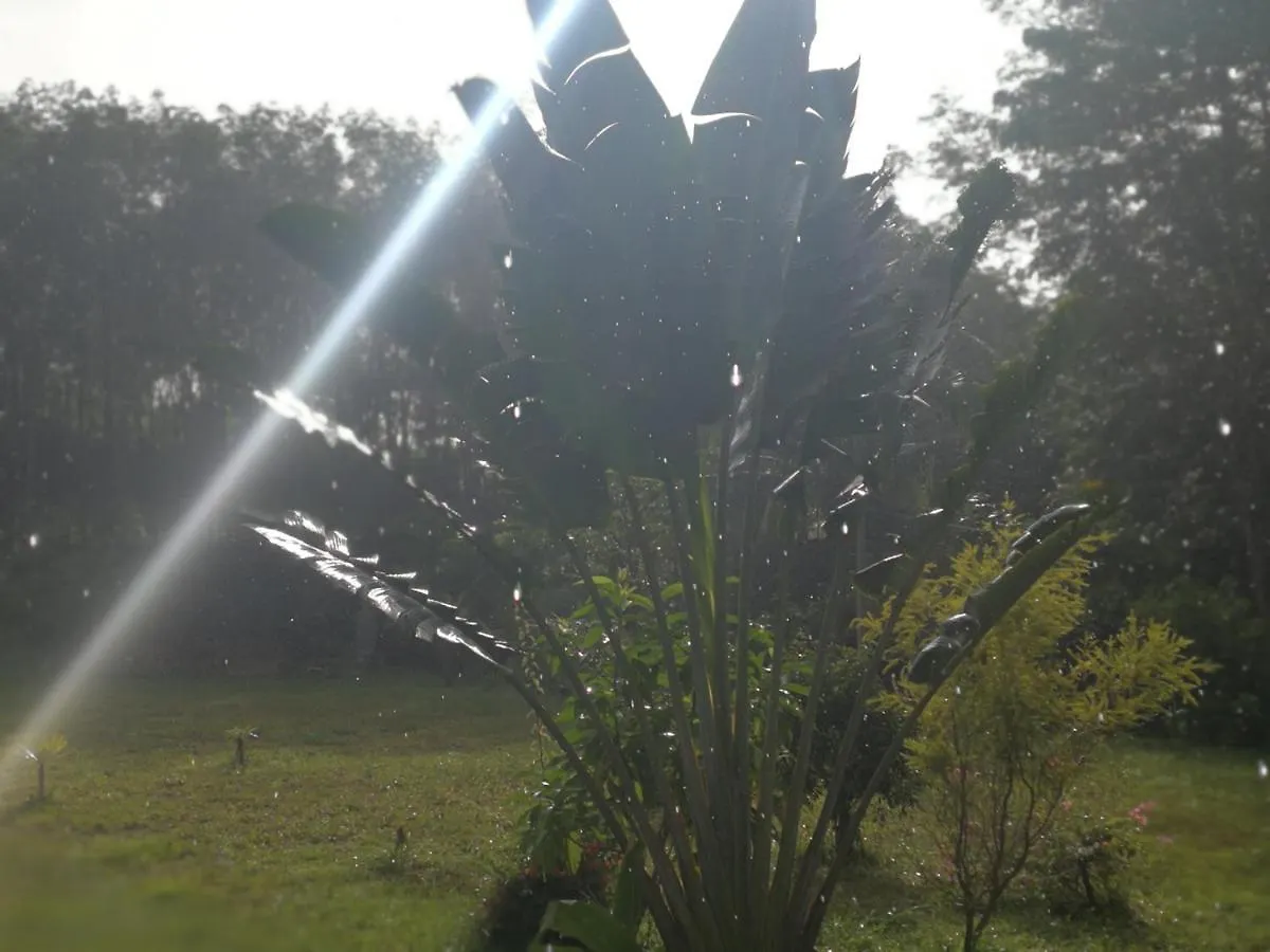 Ko LantaPalm Garden House公寓 0*, Ko Lanta 泰国