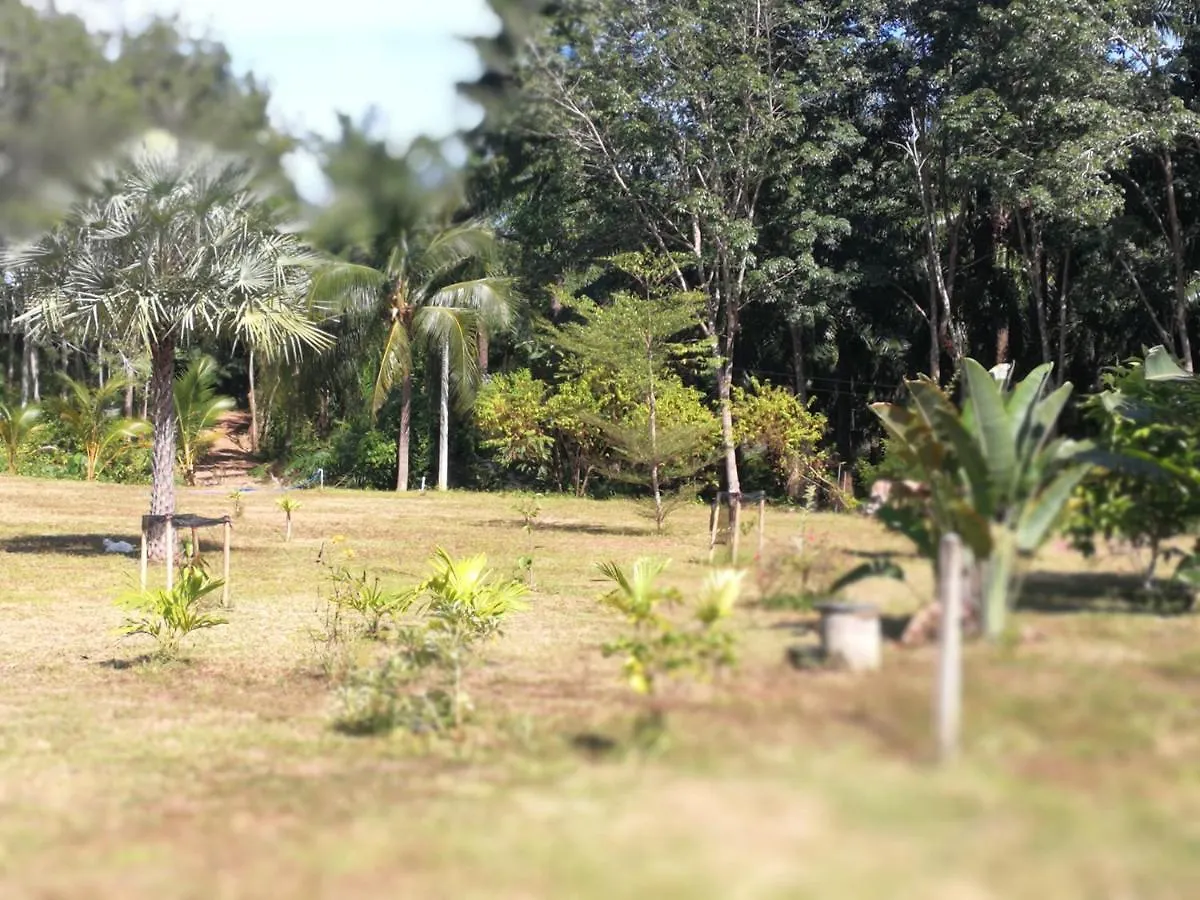 Palm Garden House Apartment Koh Lanta